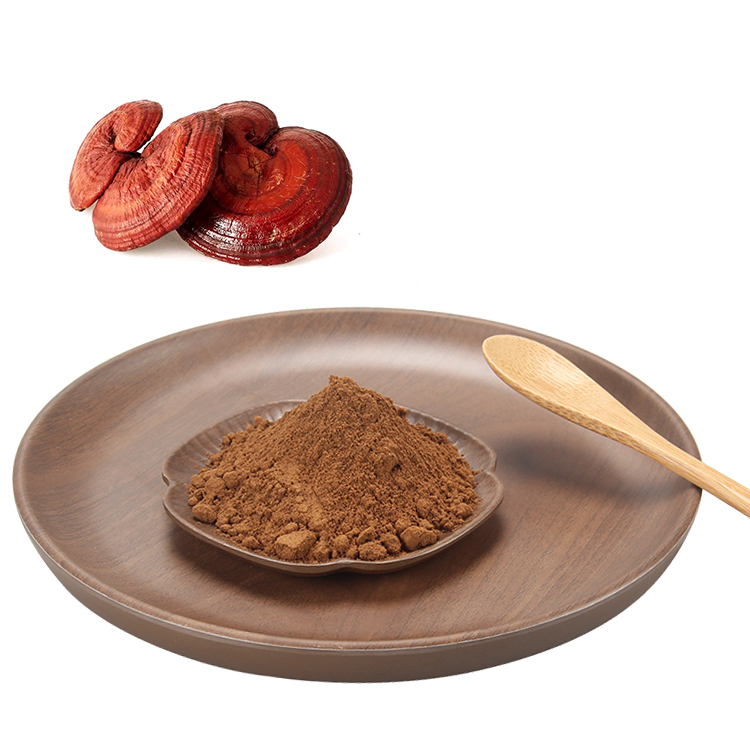 Get Ganoderma Lucidum Extract Powder - Boost Vitality Naturally